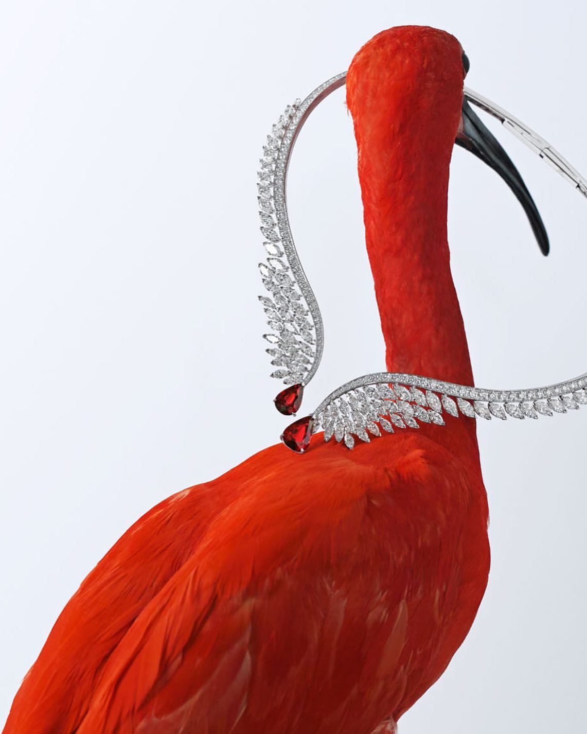 Elegant scarlet ibis adorns a stunning diamond necklace with red gems against a white background, showcasing beauty and avian elegance.