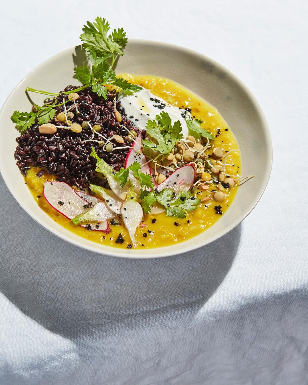 Overhead shot of a bowl with yellow curry, black rice, yogurt, sprouts, cilantro, and radishes on a white tablecloth.