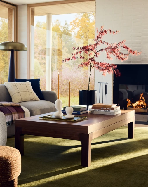 Contemporary living room interior with a coffee table, sofa, floor lamp, house plant, and fireplace, creating a cozy and modern space.