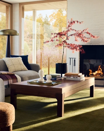 Contemporary living room interior with a coffee table, sofa, floor lamp, house plant, and fireplace, creating a cozy and modern space.