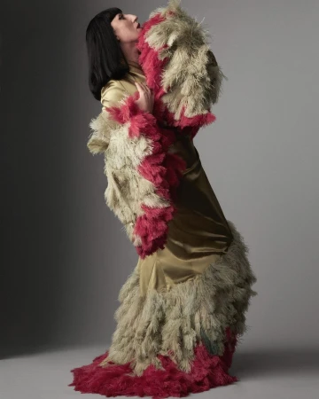 Adult female fashion model poses in full-length studio shot, wearing gold gown embellished with light and dark pink feathers, studio lighting.