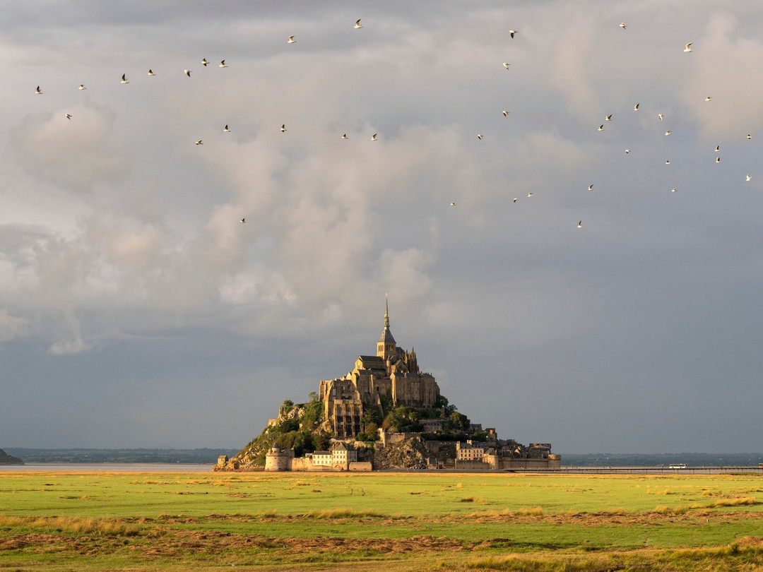 Mont Saint-Michel rises majestically from green fields under a cloudy sky, with birds soaring above the historic French landmark.