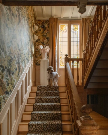 A light brown poodle stands on a leopard-print carpeted staircase in a traditionally designed home with floral wallpaper and stained glass.