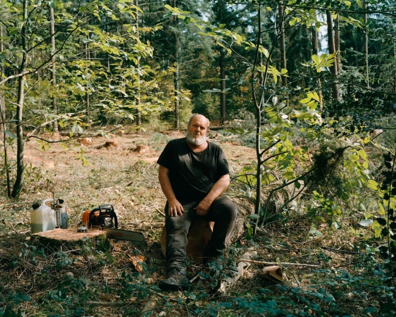 An adult man with a beard sits on a tree stump with a chainsaw and fuel cans in a sunlit forest clearing surrounded by trees.