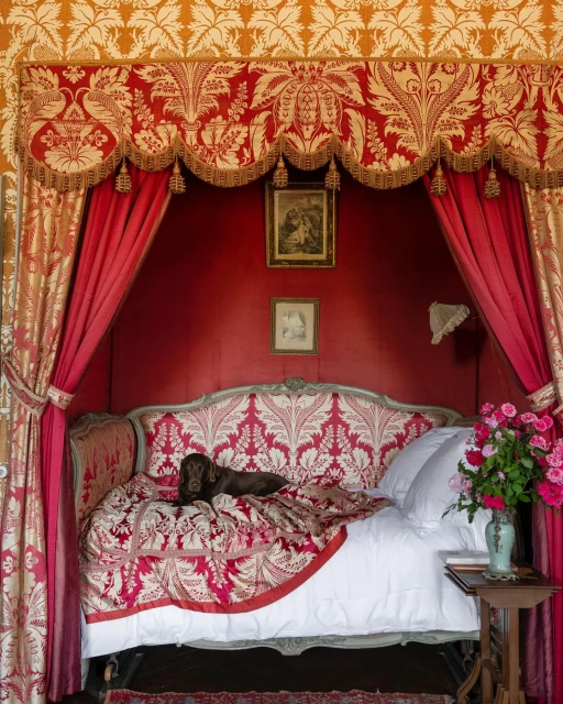 Canopy bed with patterned linens and curtains, a brown dog lying on top of the bed, pink roses in vase on table in foreground.