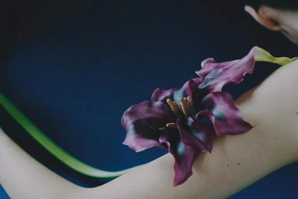 Woman's back with a large purple flower. Light skin against a dark blue backdrop. Flower is in focus, woman is partially out of focus.