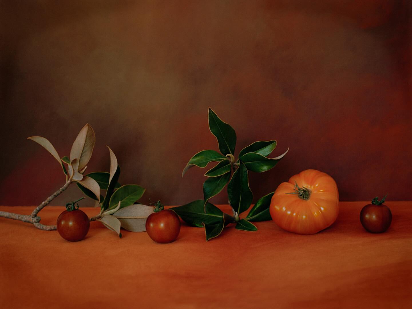 Still life featuring an arrangement of tomatoes and green leafy stems against a warm brown backdrop, evoking a classic artistic mood.