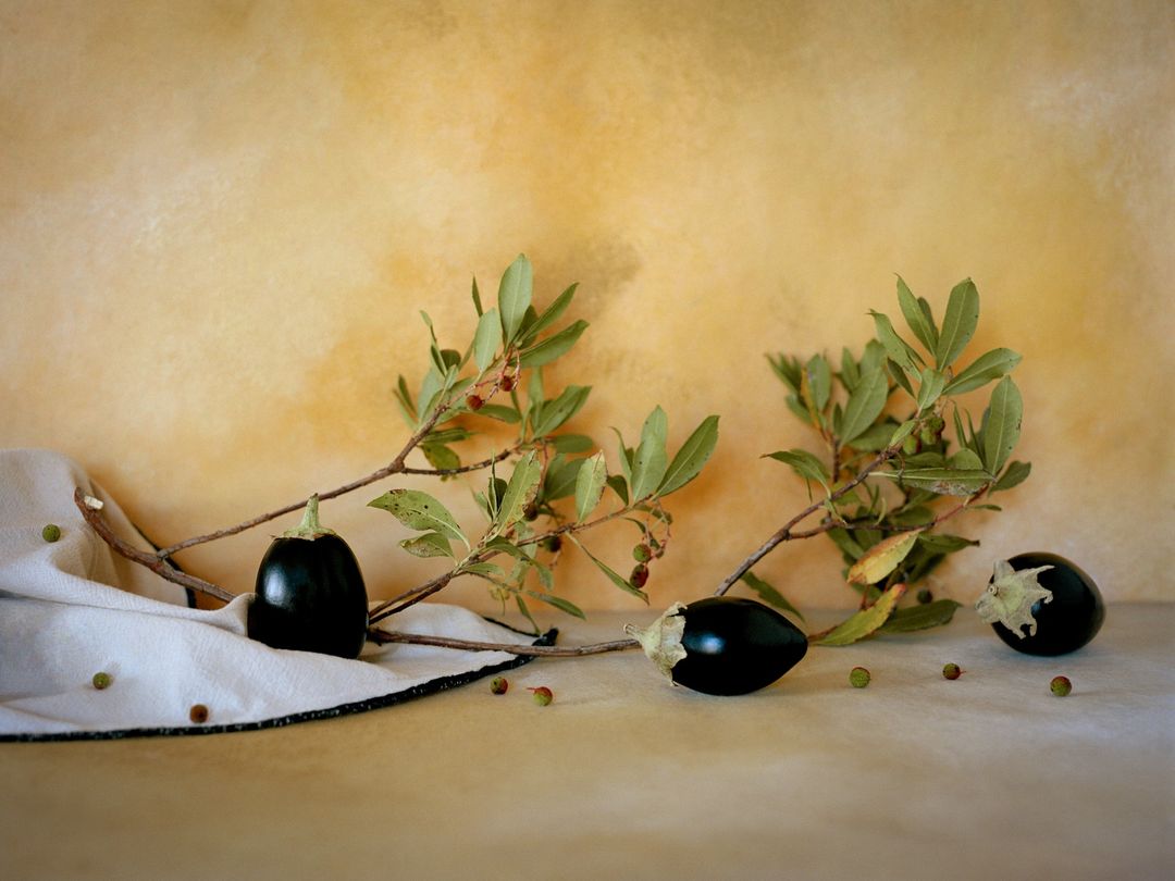 Still life of shiny black eggplants with leafy branches and scattered peppercorns against a muted golden-yellow background.