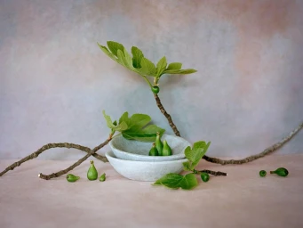 Still life photography of small green figs and fig branches arranged around two ceramic bowls on a textured surface.