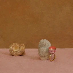 Ornate gold ring with a patterned dome resting against a vertical stone next to an ammonite fossil on a textured surface.