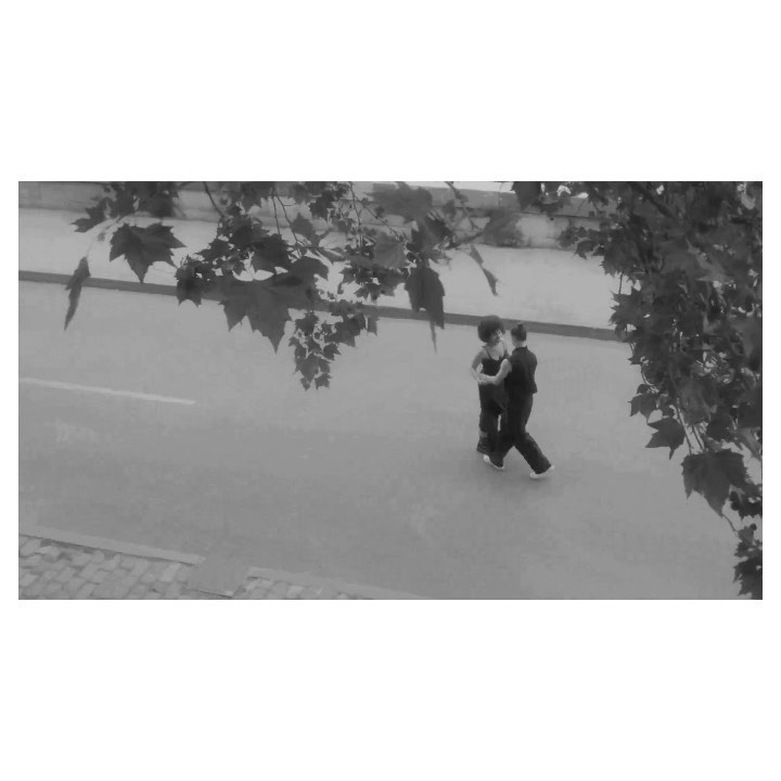 Monochrome aerial view of a couple dancing on a street, framed by tree branches and leaves, showcasing elegance and movement.
