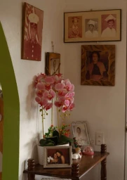 Potted pink orchid and framed family photographs on a wooden console table against a white wall by Anais Stupka