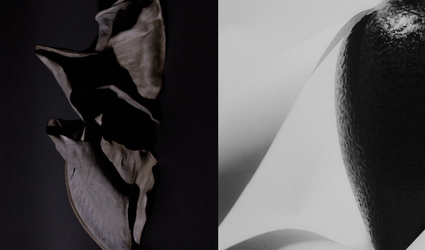 Monochromatic still life: sculptural light gray material contrasts a dark avocado. Soft lighting creates smooth gradients and subtle shadows.