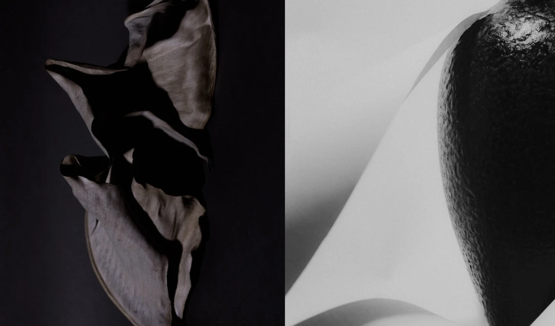 Monochromatic still life: sculptural light gray material contrasts a dark avocado. Soft lighting creates smooth gradients and subtle shadows.