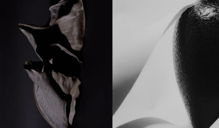 Monochromatic still life: sculptural light gray material contrasts a dark avocado. Soft lighting creates smooth gradients and subtle shadows.