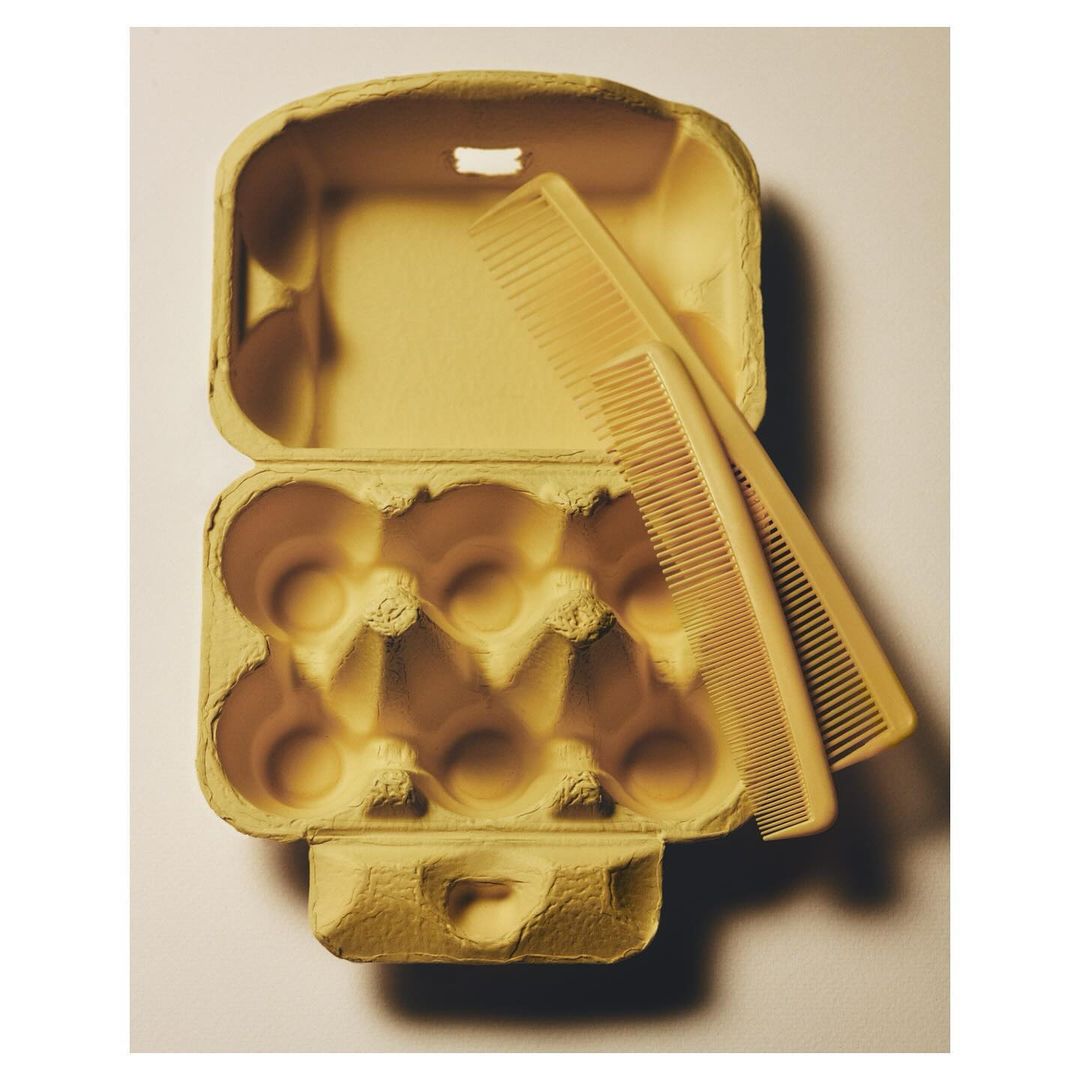 Still life shot of two yellow combs laying inside of a yellow cardboard egg carton with twelve egg slots on a light background.