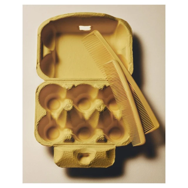 Still life shot of two yellow combs laying inside of a yellow cardboard egg carton with twelve egg slots on a light background.