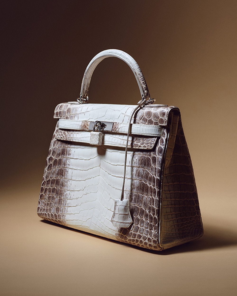 Luxurious crocodile skin handbag with silver hardware on a graduated brown background, showcasing high-end fashion and craftsmanship.