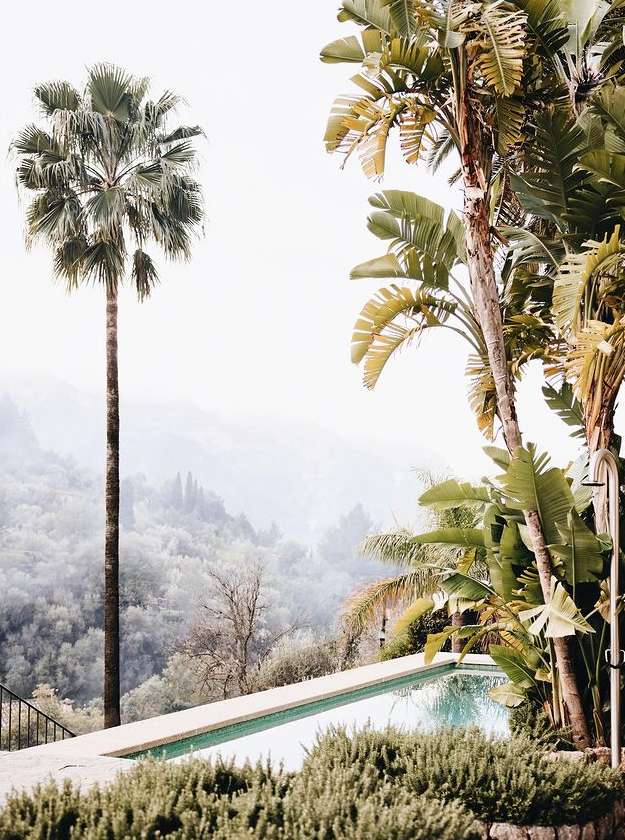 Lush tropical scene with a palm tree, swimming pool, and distant mountains, capturing a serene, exotic vacation vibe in daylight.