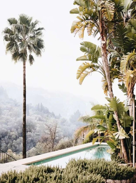 Lush tropical scene with a palm tree, swimming pool, and distant mountains, capturing a serene, exotic vacation vibe in daylight.