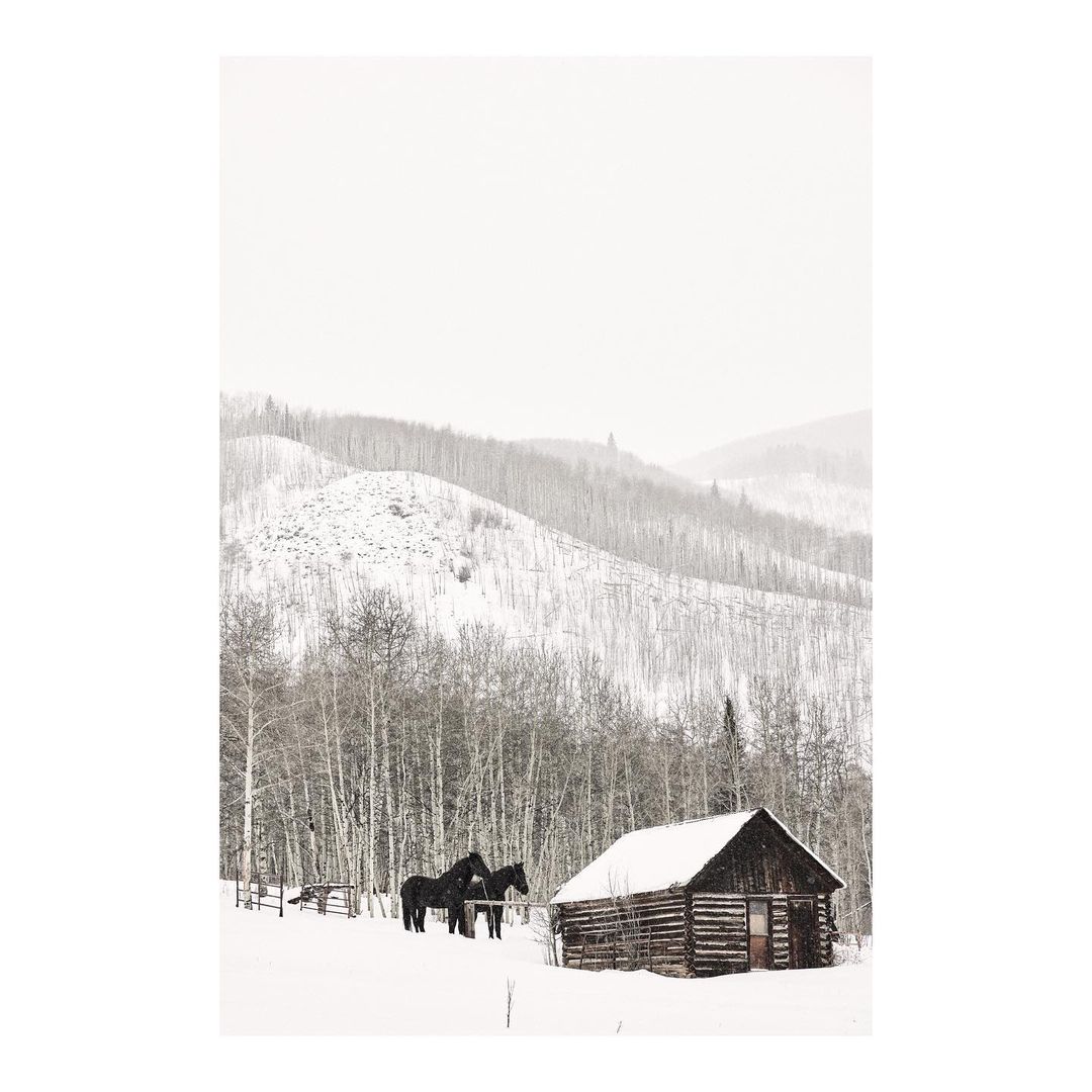 Two dark horses stand in a snowy, rural scene near a small log cabin with snow-covered hills and trees in the background on an overcast day.