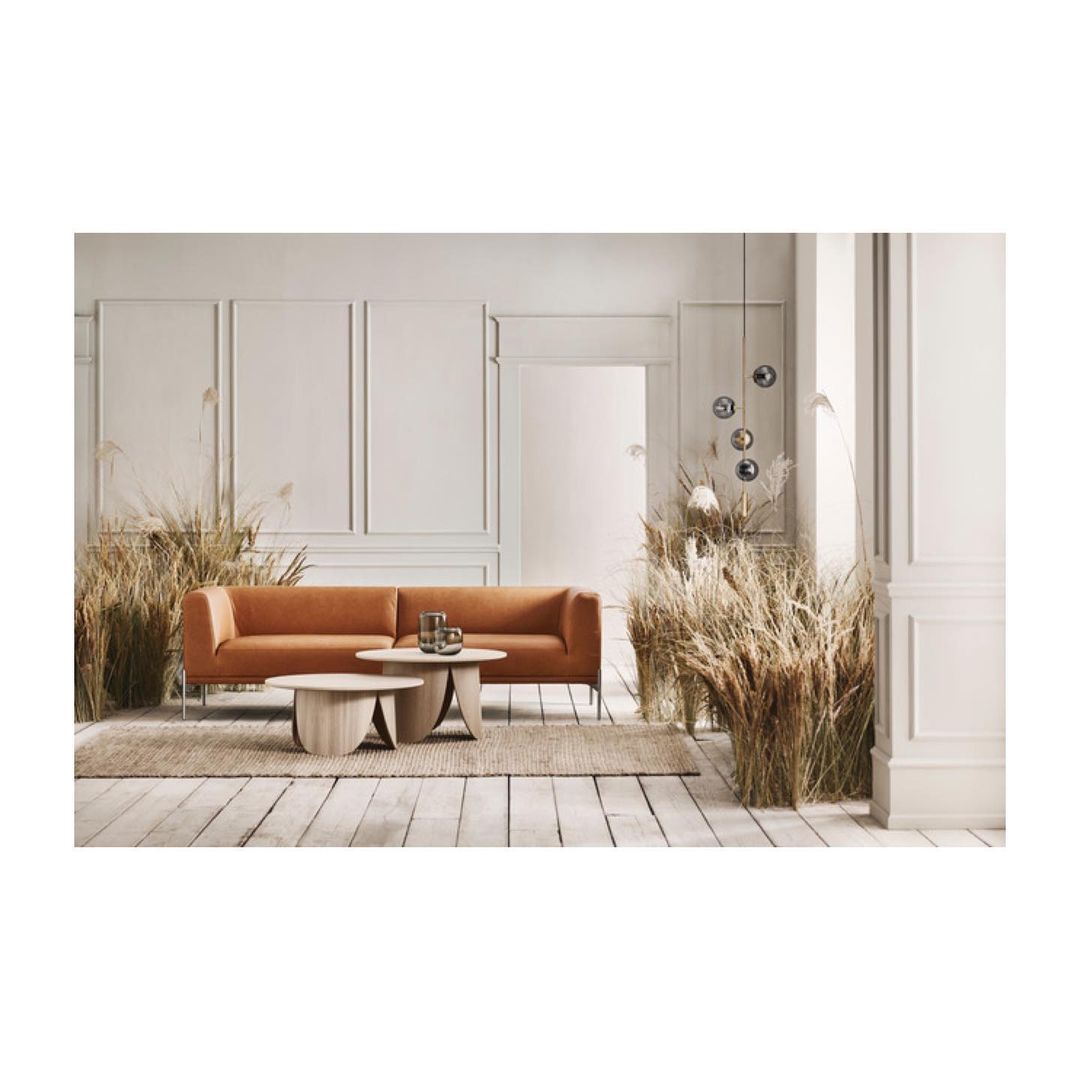 Living room interior: orange sofa, round tables, dried pampas grass, light walls, and wood floor in a modern home setting.