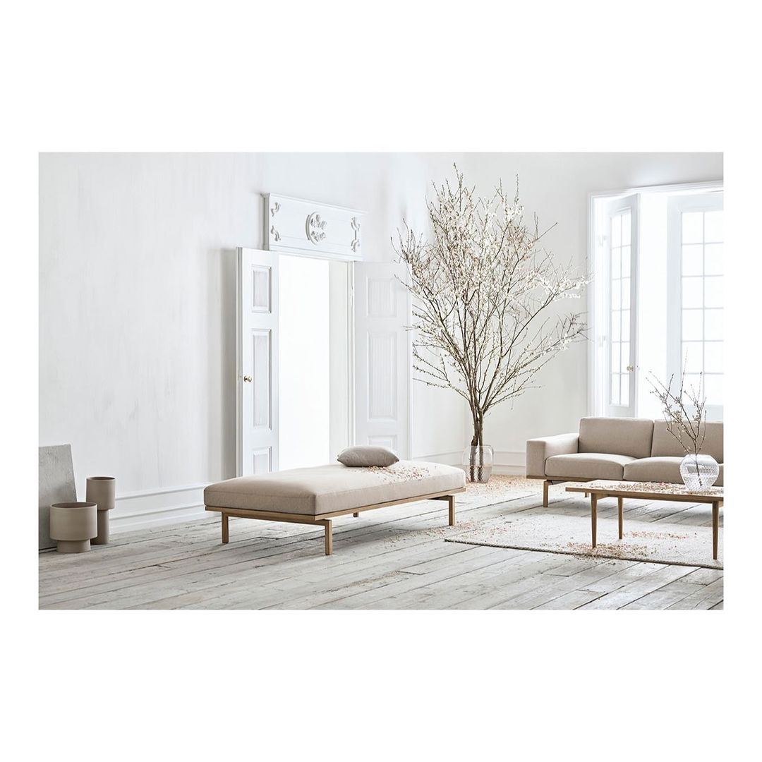 Beige sofa and daybed with throw pillow in a well-lit, minimalist interior with white walls, light wood floors, and a decorative tree.