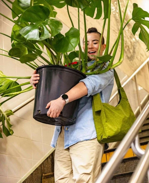 Woman smiles carrying a large monstera plant in black pot indoors, wearing a denim shirt, khaki pants, and a light-green shoulder bag.