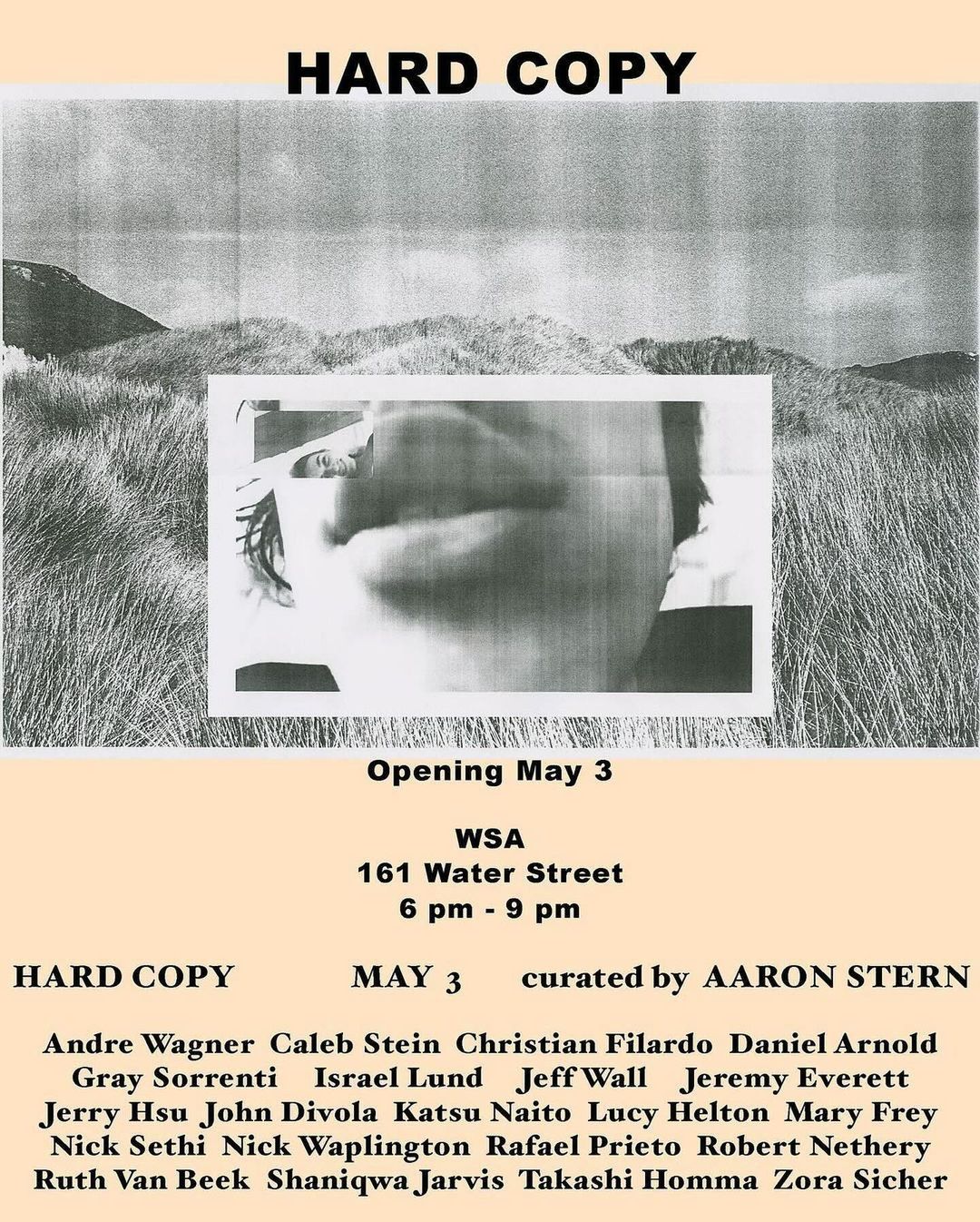 Art exhibition poster featuring a blurred face within a landscape, text including show details, curated by Aaron Stern.