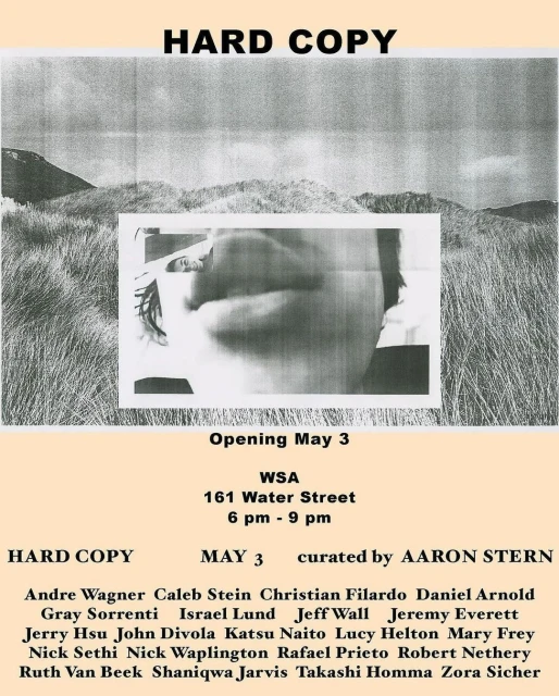 Art exhibition poster featuring a blurred face within a landscape, text including show details, curated by Aaron Stern.