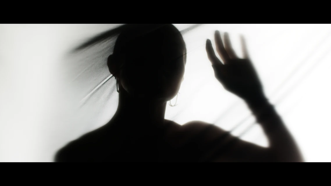 Silhouette of an adult female figure behind translucent fabric, with hand raised, backlit in a softly lit, indoor environment.