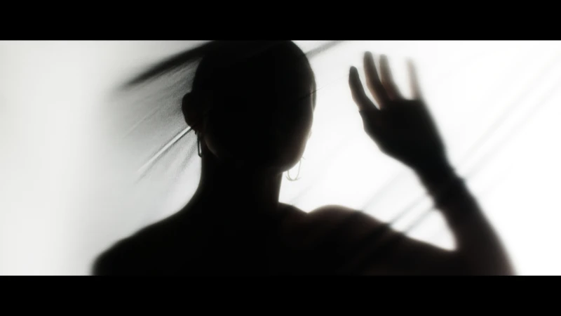 Silhouette of an adult female figure behind translucent fabric, with hand raised, backlit in a softly lit, indoor environment.