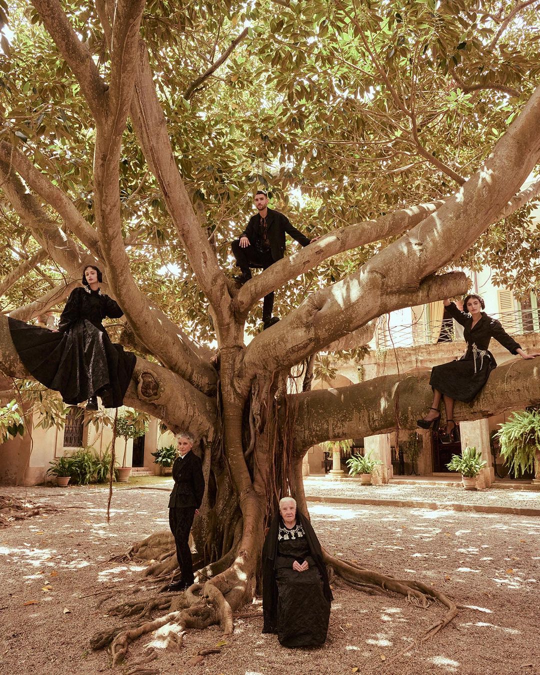 Group of five people posed in and around a large tree in a courtyard with a building in the background, all dressed in black clothing.
