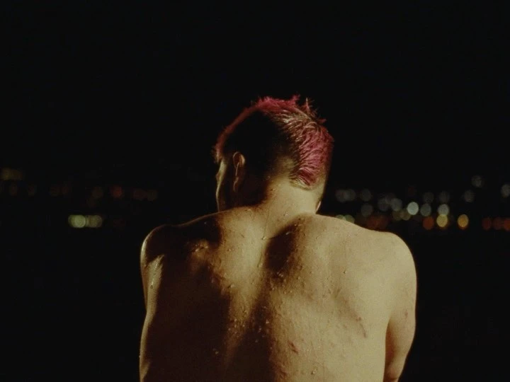 Close-up of a shirtless adult male with pink hair facing away from the camera, with blurred city lights visible in the background at night.