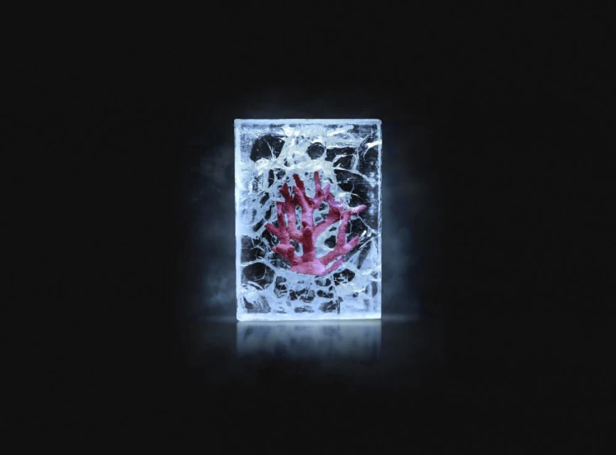 A pink coral cast in clear ice block, centered on a dark background with light reflecting off the ice; studio product shot.