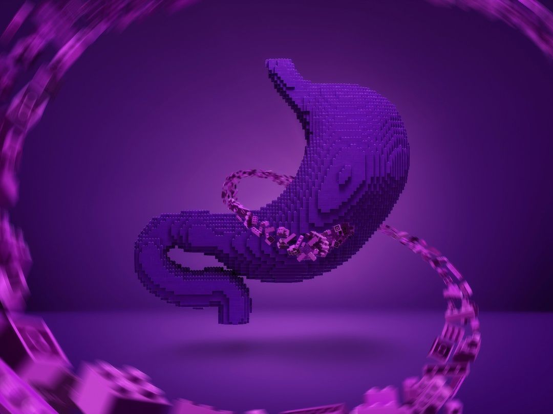 3D digital art of a human stomach built with purple blocks, surrounded by blurry blocks against a purple background, science visualisation.