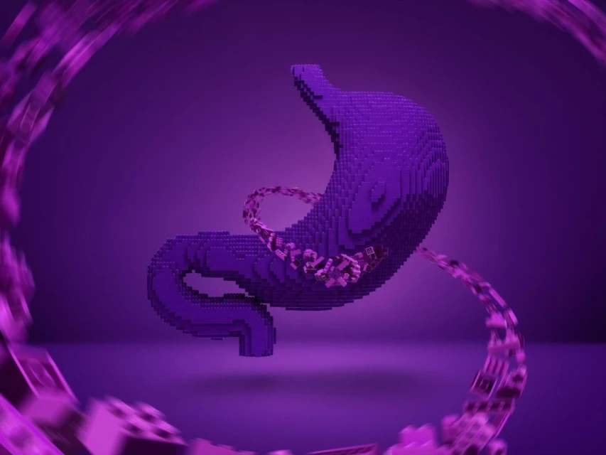 3D digital art of a human stomach built with purple blocks, surrounded by blurry blocks against a purple background, science visualisation.