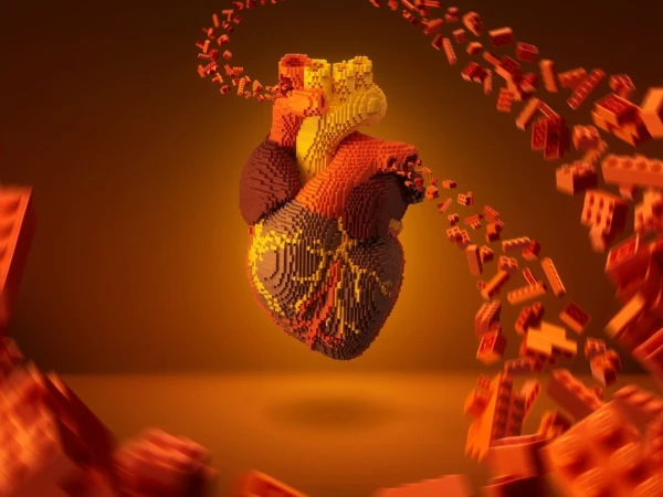 3D anatomical heart model crafted from red and yellow building blocks, set against a gradient orange background, with scattered blocks.
