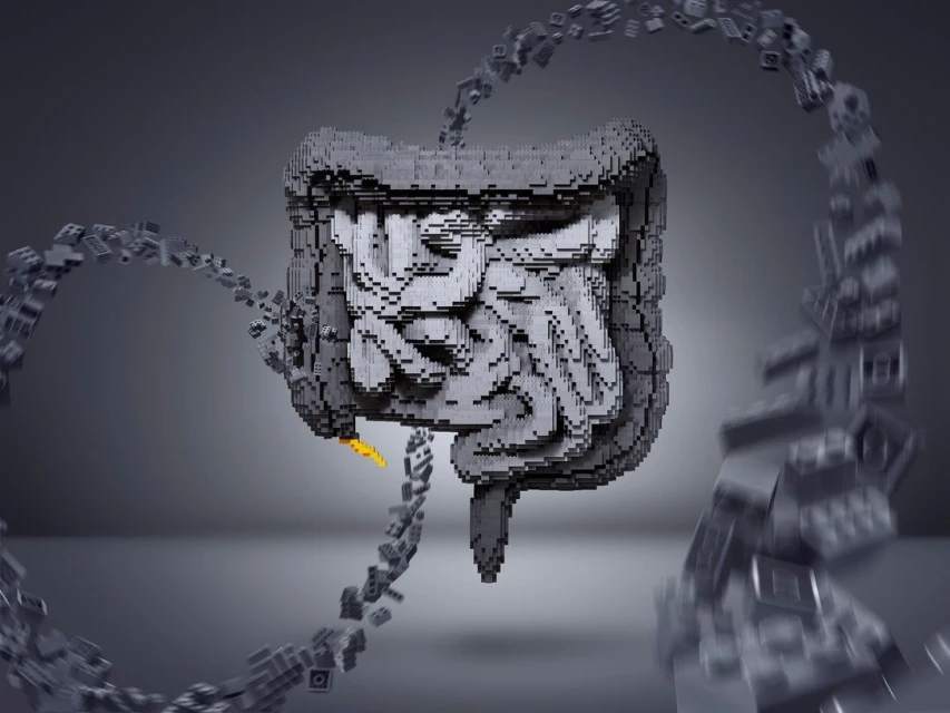 3D render of a human colon made of gray pixel blocks with surrounding pixelated structures on a gray gradient background.