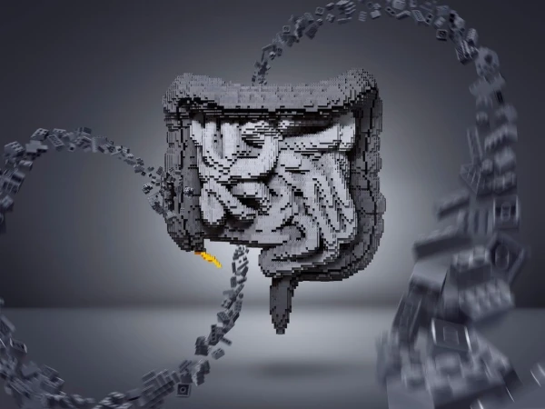 3D render of a human colon made of gray pixel blocks with surrounding pixelated structures on a gray gradient background.