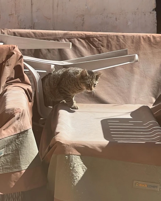 Andres Burgos