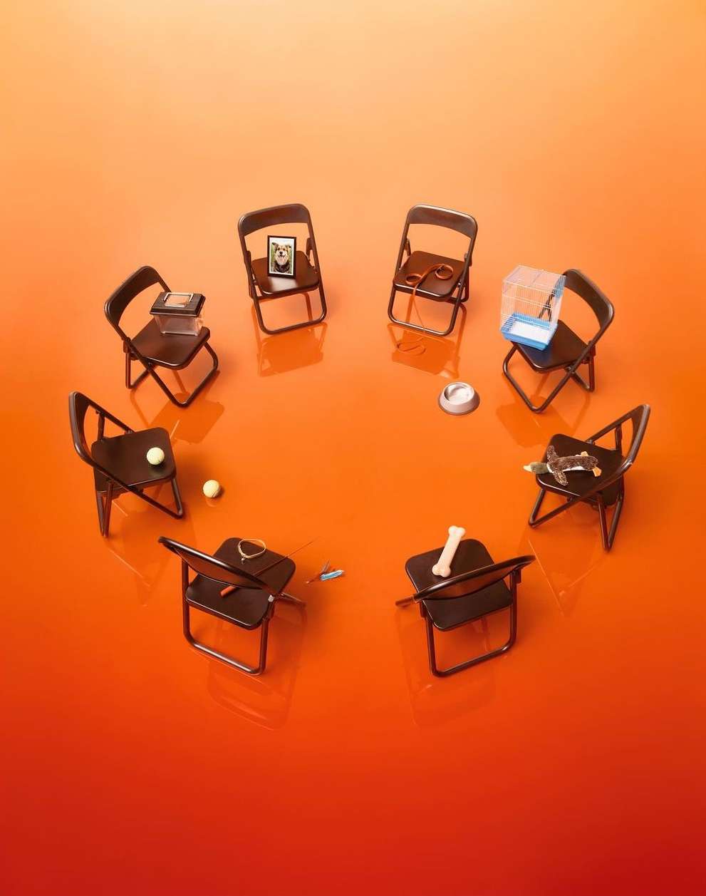 Arrangement of miniature chairs on an orange surface, each displaying a different dog-related item; creating a pet-centric gathering.