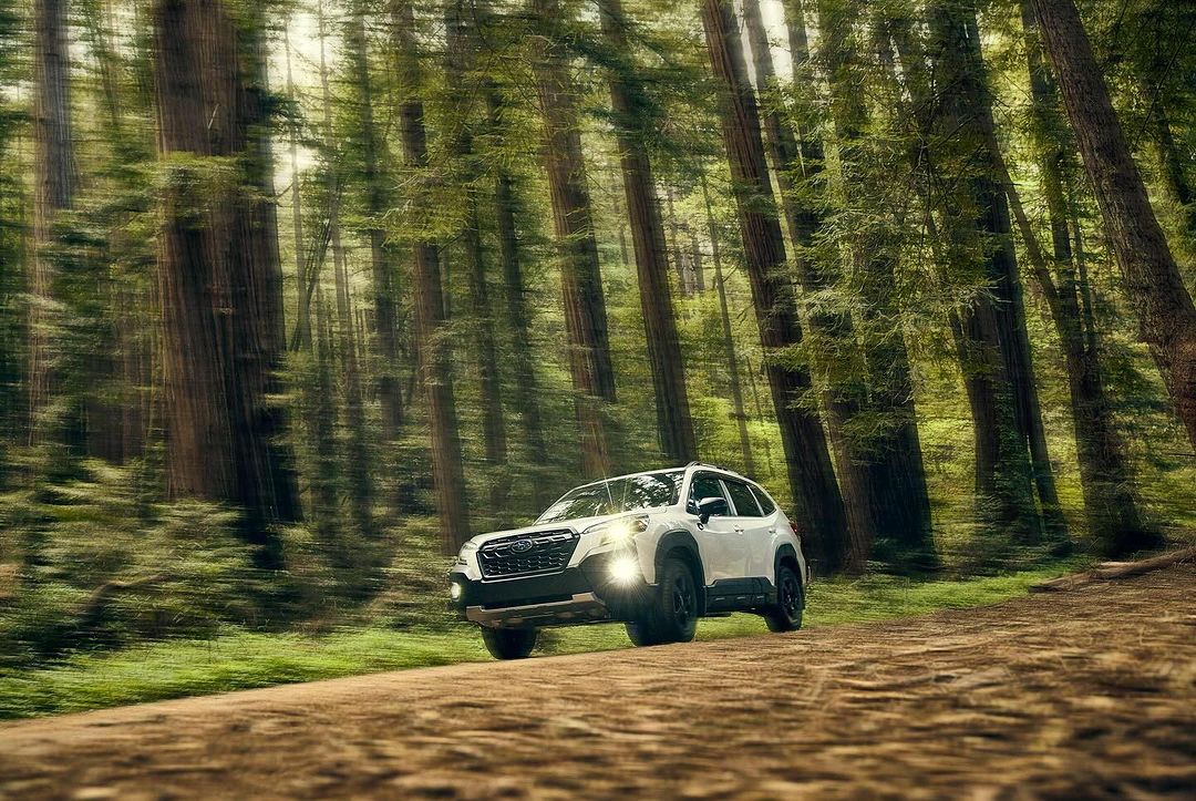 White SUV driving on a dirt road surrounded by tall trees in a dense forest, car lights are on, daytime, motion blur on the trees.