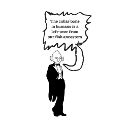 Monochrome illustration by Andrew Rae of a humanoid fish wearing a tuxedo beneath a speech bubble containing text about collar bones.