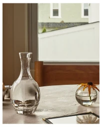 Clear glass water decanter and a small spherical vase with a yellow flower on a tabletop near a window.