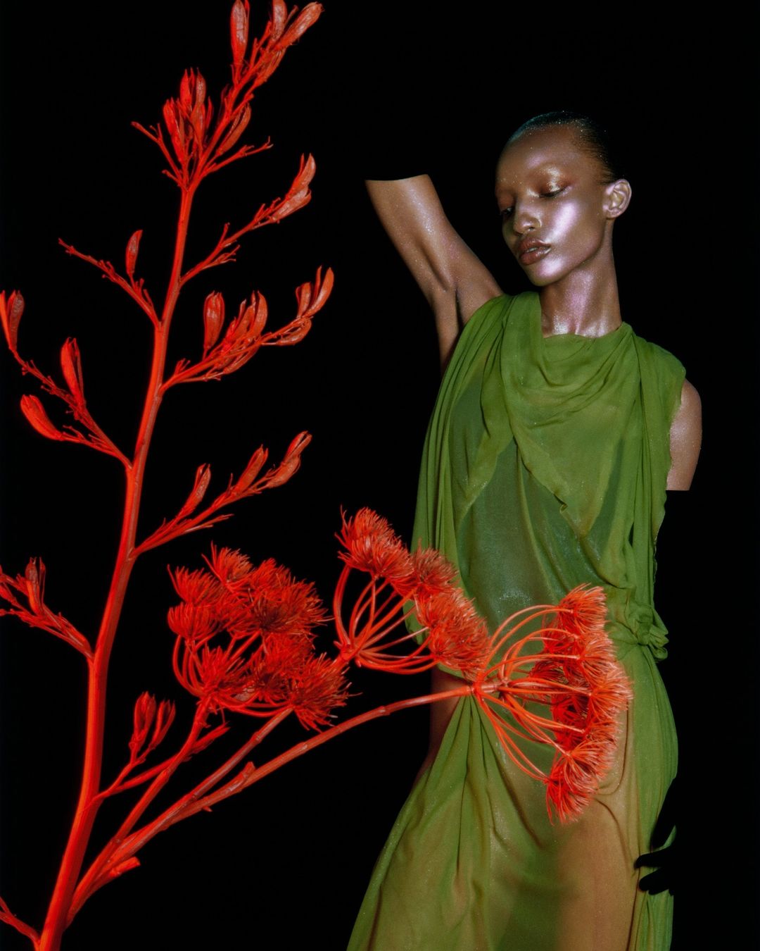 Woman in sheer green gown poses with red kangaroo paw plant on black backdrop. Fashion and beauty shot with artistic lighting.
