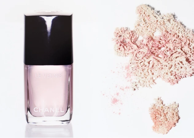 Chanel nail polish bottle beside pink textured lichen against a bright white background
