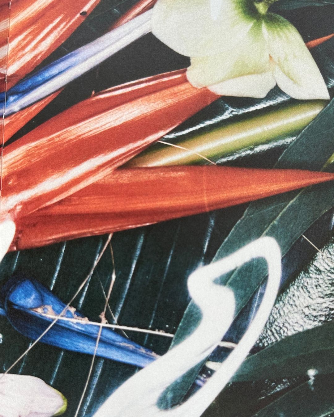 Close-up abstract composition featuring leaves, colorful flower petals, and decorative white paint accents on a dark background.