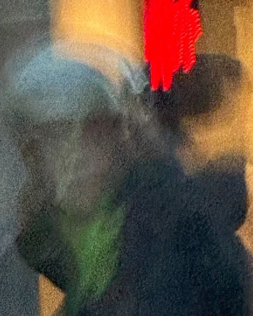 Abstract artwork showing dark shapes and blended colors, with red, green, and yellow hues creating a blurred, textured effect.