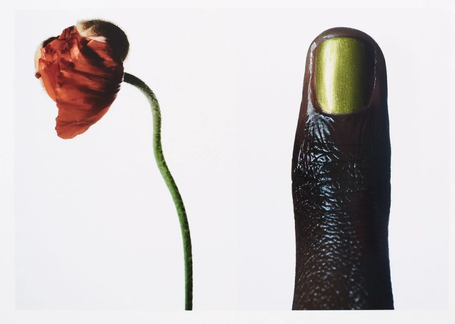 Close-up of an orange poppy flower on a stem paired with a dark-skinned finger with a green metallic polished nail against a white background.